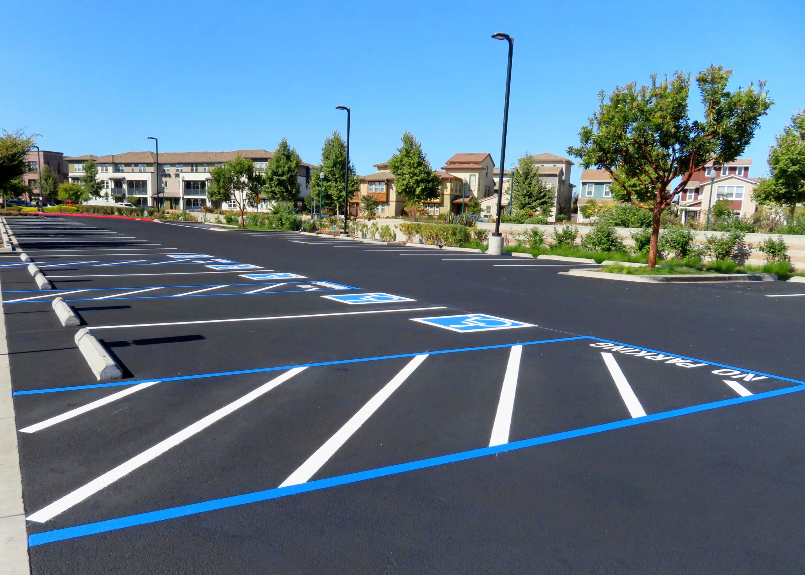 Calgary Paving Contractors working on a commercial parking lot